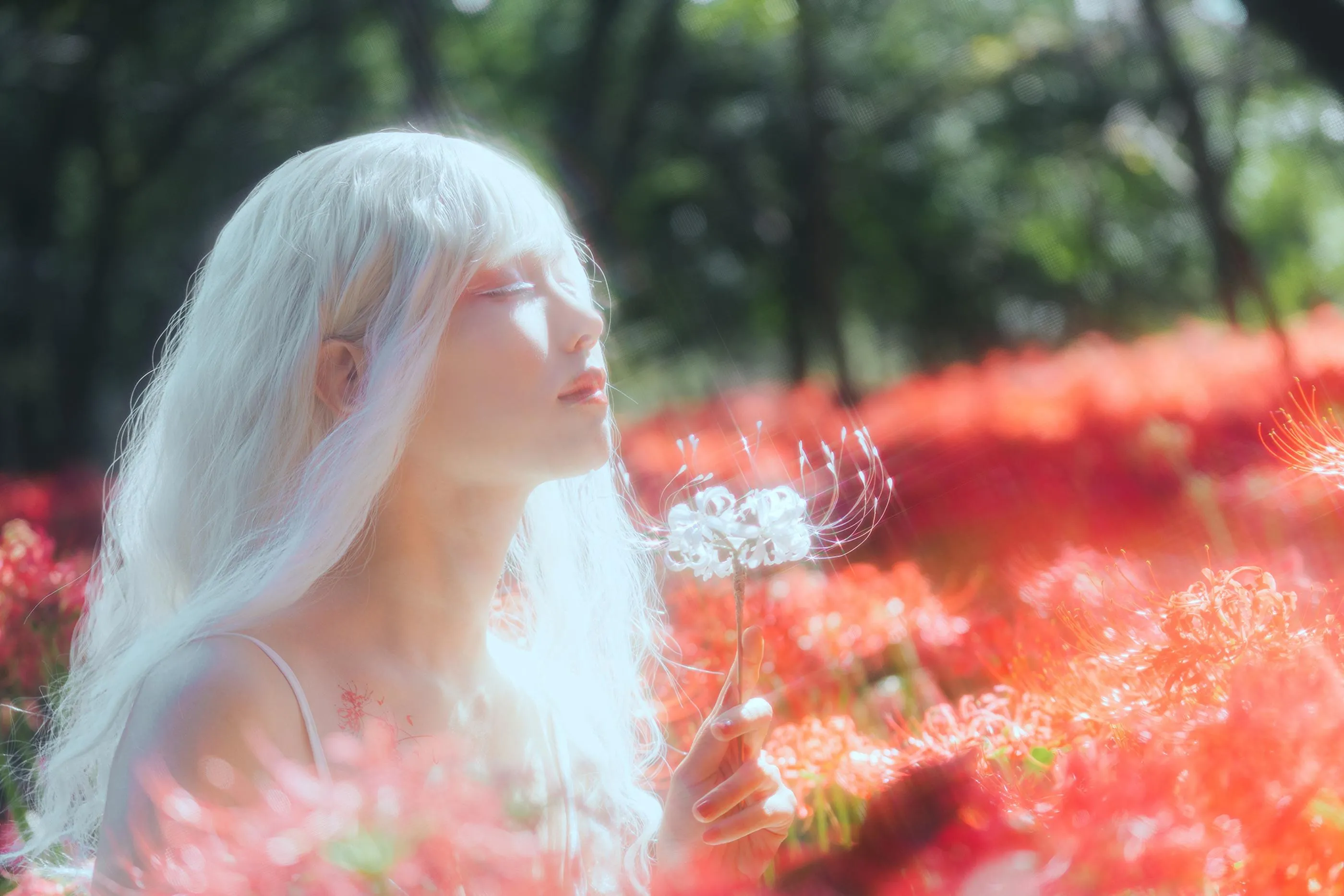 ElyEE子 – NO.129 23年10月订阅-B-White spider lily 白瓷彼岸 [27P]插图8